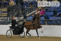 09r14-3206 proof
