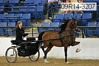 09r14-3207 proof