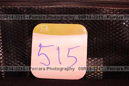 Proof 09r14-3215