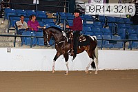 09r14-3216 proof