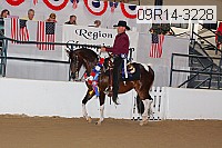 09r14-3228 proof