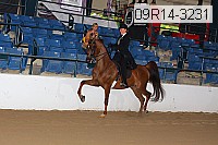 09r14-3231 proof