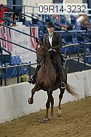 09r14-3232 proof