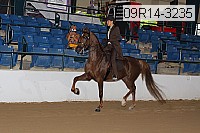09r14-3235 proof