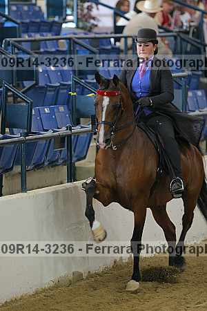 Proof 09r14-3236