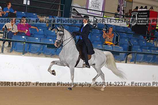 Proof 09r14-3237