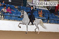 09r14-3237 proof