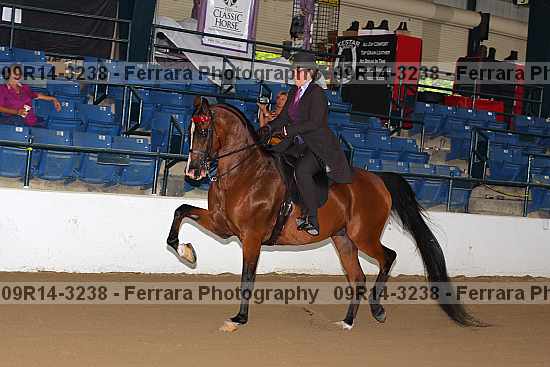 Proof 09r14-3238