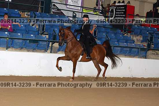 Proof 09r14-3239
