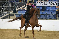 09r14-3240 proof