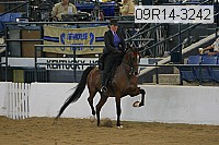 09r14-3242 proof
