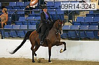 09r14-3243 proof