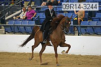 09r14-3244 proof