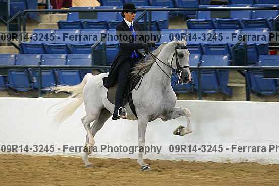 Proof 09r14-3245