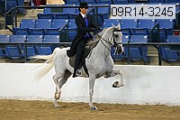 09r14-3245 proof
