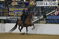09r14-3246 proof