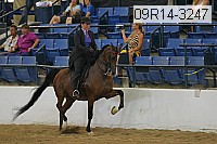 09r14-3247 proof