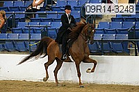 09r14-3248 proof