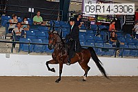 09r14-3306 proof