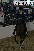 09r14-3308 proof