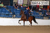 09r14-3310 proof