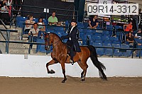 09r14-3312 proof