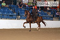 09r14-3316 proof