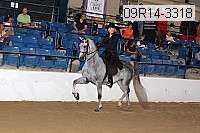 09r14-3318 proof