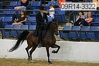 09r14-3322 proof