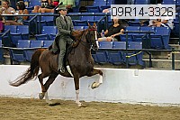 09r14-3326 proof