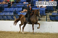 09r14-3329 proof