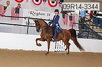 09r14-3344 proof