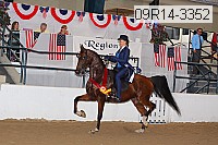 09r14-3352 proof