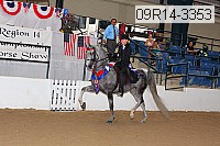 09r14-3353 proof
