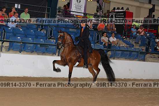 Proof 09r14-3370