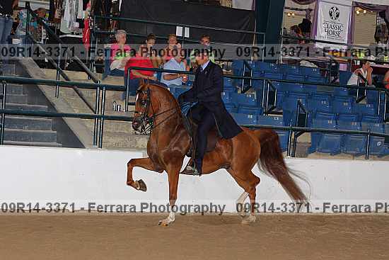 Proof 09r14-3371