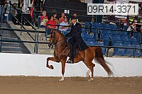 09r14-3371 proof