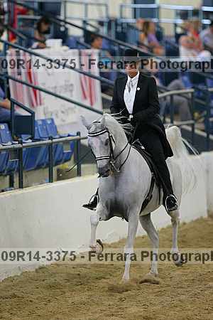 Proof 09r14-3375