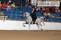 09r14-3376 proof