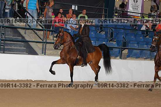 Proof 09r14-3382