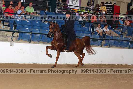 Proof 09r14-3383