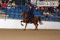 09r14-3383 proof