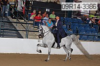 09r14-3386 proof