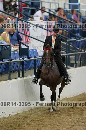 Proof 09r14-3395