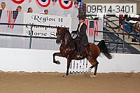 09r14-3401 proof