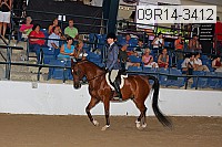 09r14-3412 proof