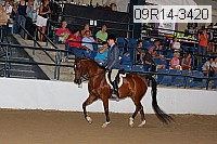 09r14-3420 proof
