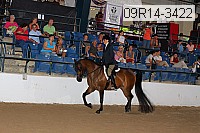 09r14-3422 proof