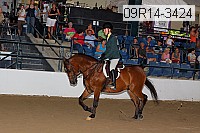 09r14-3424 proof