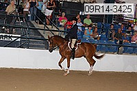 09r14-3425 proof